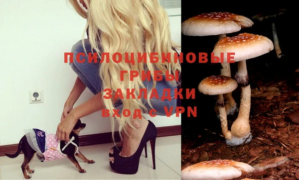 MESCALINE Вяземский