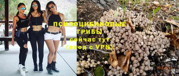 прущая мука Вязники